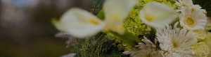 Uitvaartverzorging Donker regelt ook stemmige bloemen en bloemenarrangemementen voor de crematie of begrafenis.