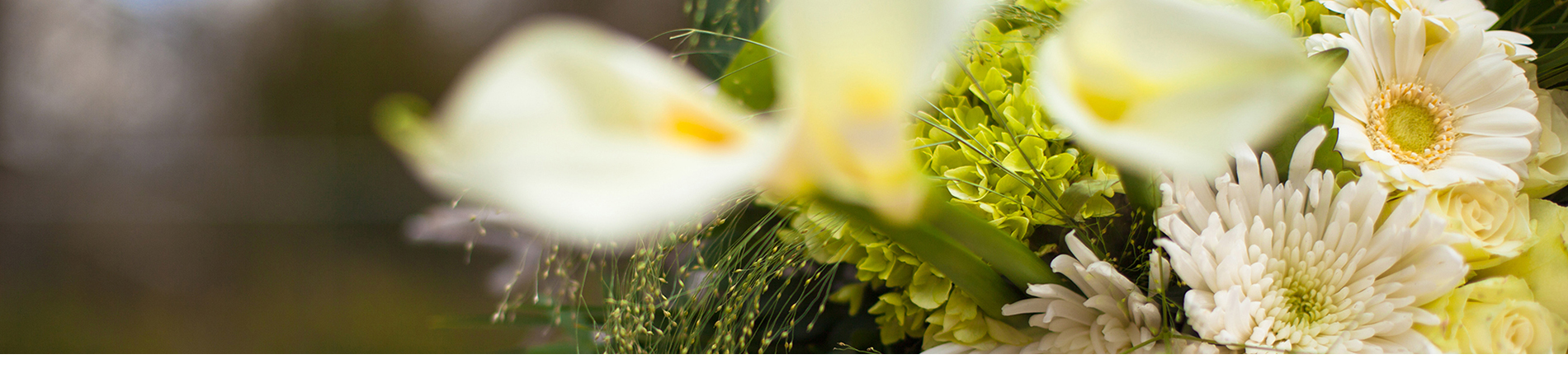 Bij Uitvaartverzorging Donker verzorgen wij graag voor u een prachtig passend bloemenarrangement voor op de kist van uw overleden dierbare. En zorgen ook dat de bloemen mooi blijven.