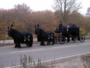 Bij Uitvaartverzorging Donker kunnen wij behalve onze grijze rouwauto en volgauto ook alternatief rouwvervoer regelen. Zoals een loopkoets of andere kleuren auto's. Vragen? Bel ons gerust op 0345 501236.